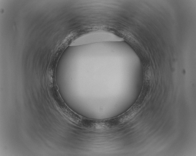 X0000071830264200607211809