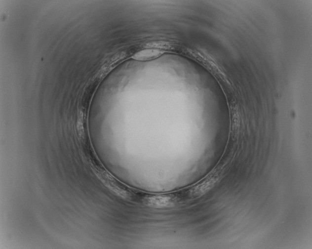 X0000071830265200607211809