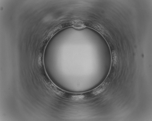 X0000071830266200607211809