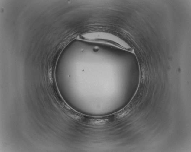 X0000071830267200607211809