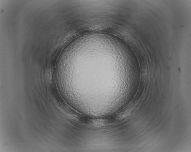 X0000071830268200607211809