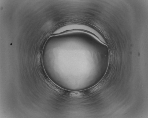 X0000071830269200607211809