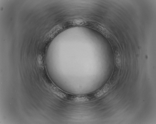 X0000071830270200607211809