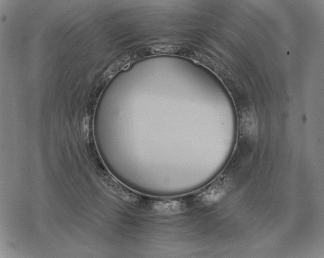 X0000071830271200607211809