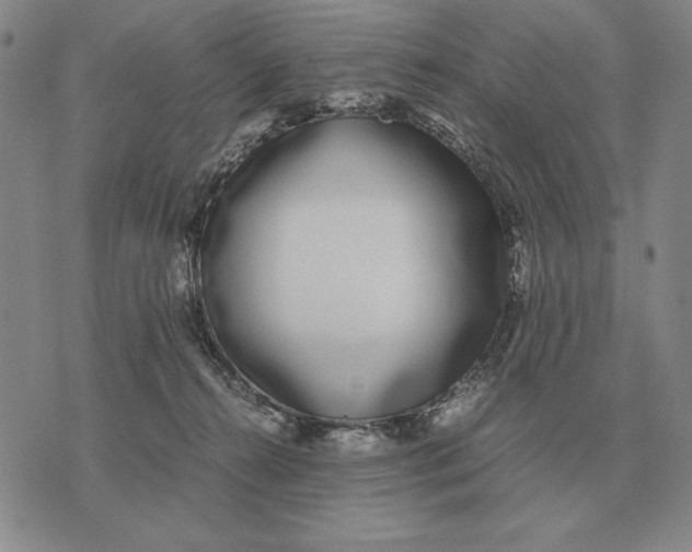 X0000071830272200607211809