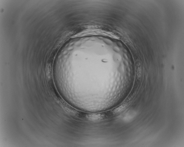 X0000071830273200607211809