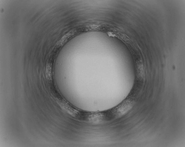 X0000071830274200607211809