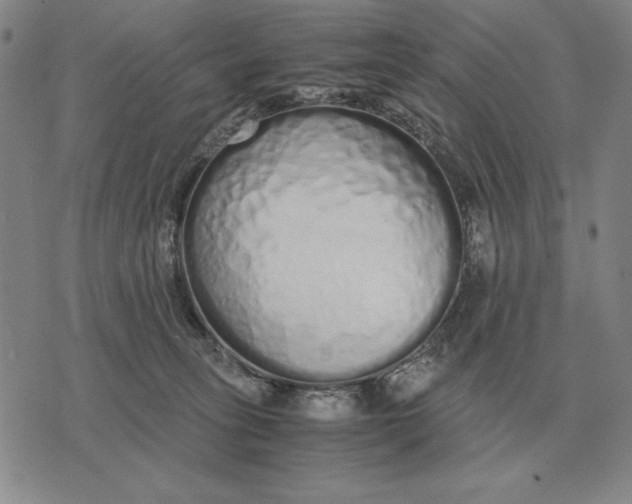 X0000071830275200607211809