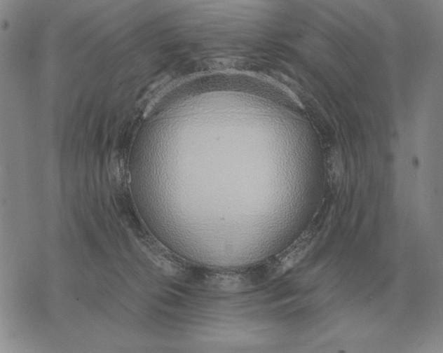 X0000071830276200607211809