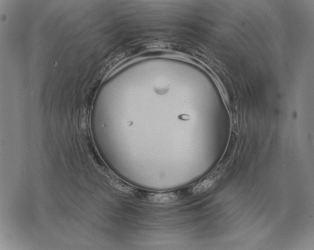 X0000071830277200607211809