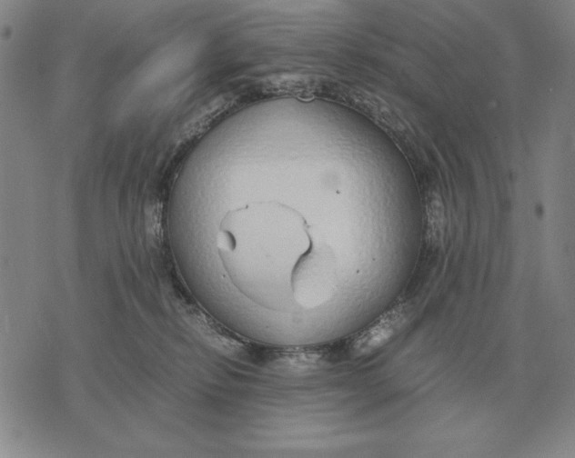 X0000071830278200607211809