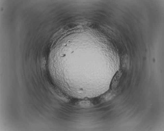 X0000071830279200607211809