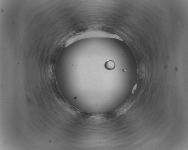 X0000071830280200607211809