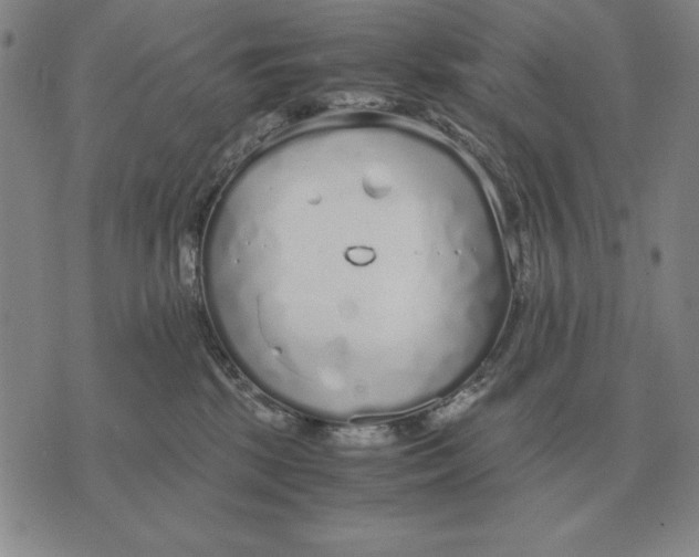 X0000071830281200607211809