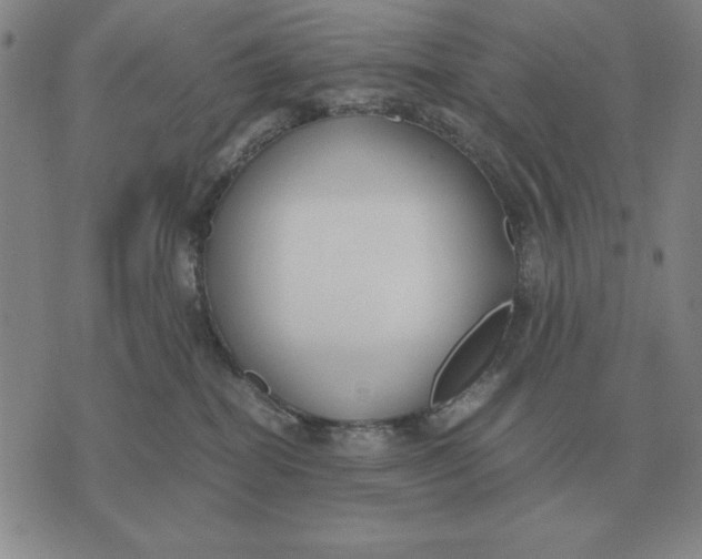 X0000071830282200607211809