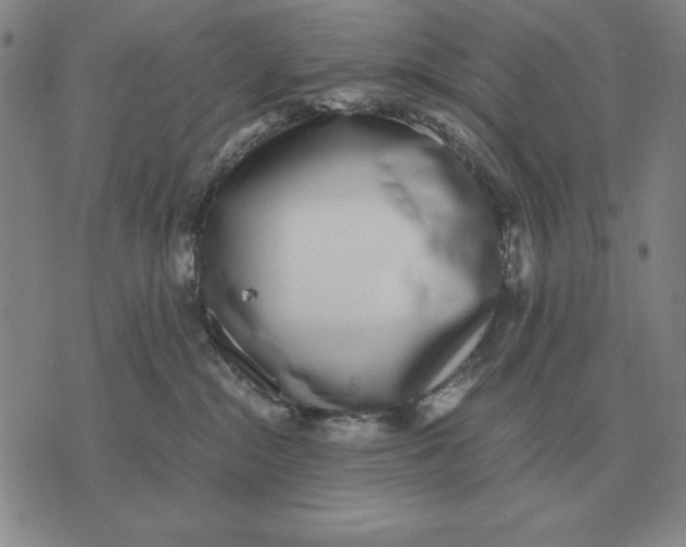 X0000071830284200607211809