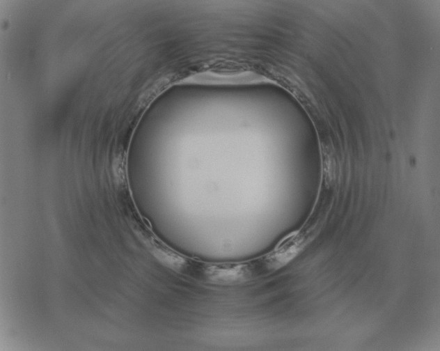 X0000071830285200607211809