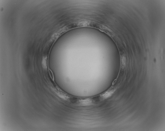 X0000071830286200607211809