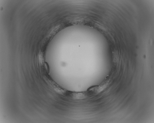 X0000071830287200607211809