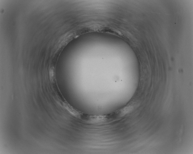 X0000071830288200607211809