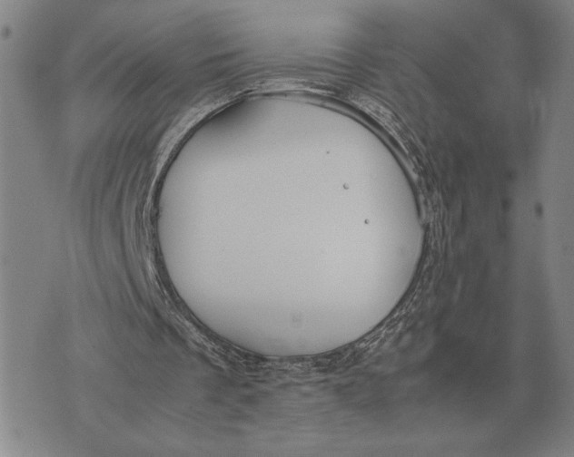 X0000071830289200607211809