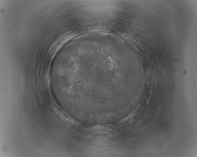 X0000071830290200607211809