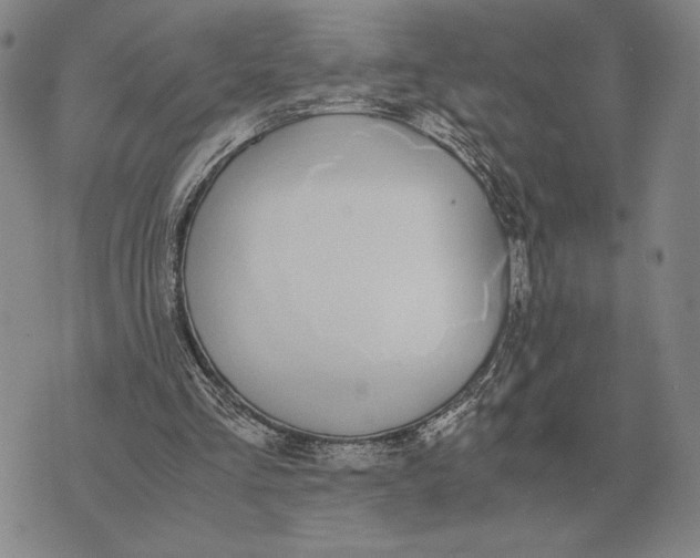 X0000071830293200607211809