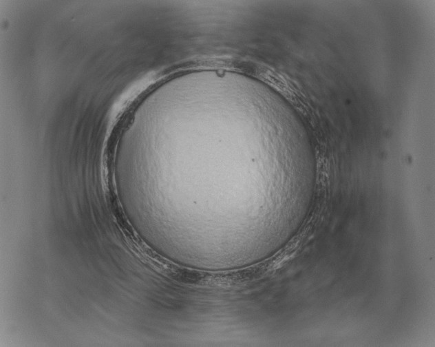 X0000071830294200607211809