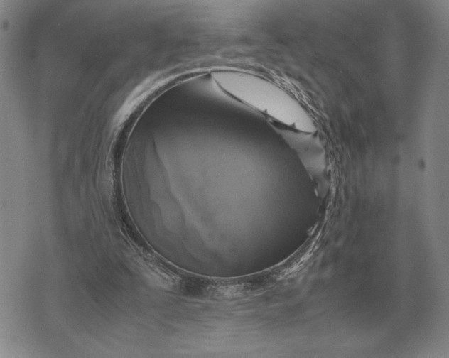 X0000071830295200607211808