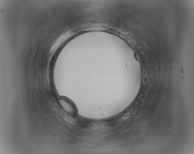 X0000071830296200607211808