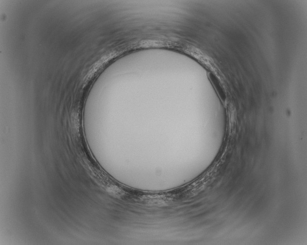 X0000071830297200607211808