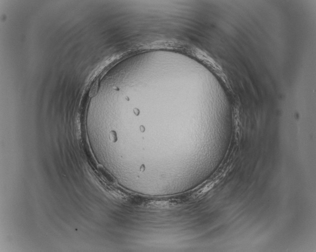 X0000071830298200607211808