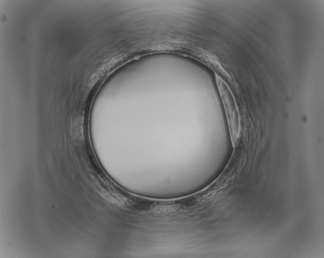 X0000071830299200607211808