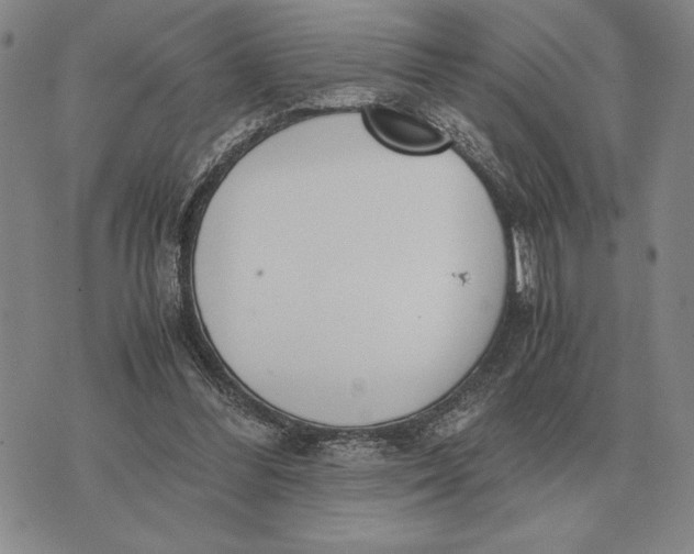 X0000071830300200607211808