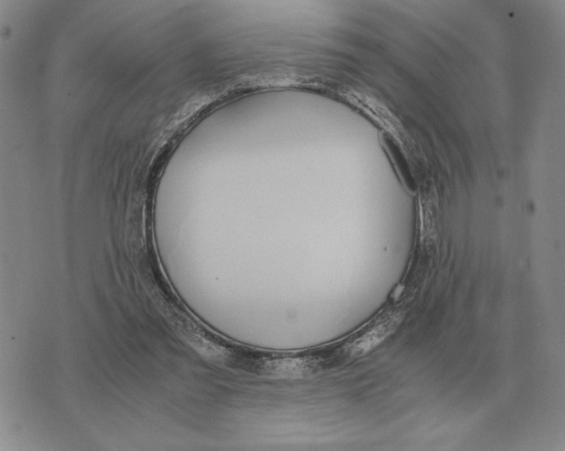 X0000071830301200607211808