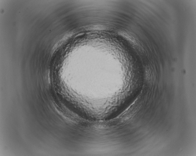 X0000071830302200607211808