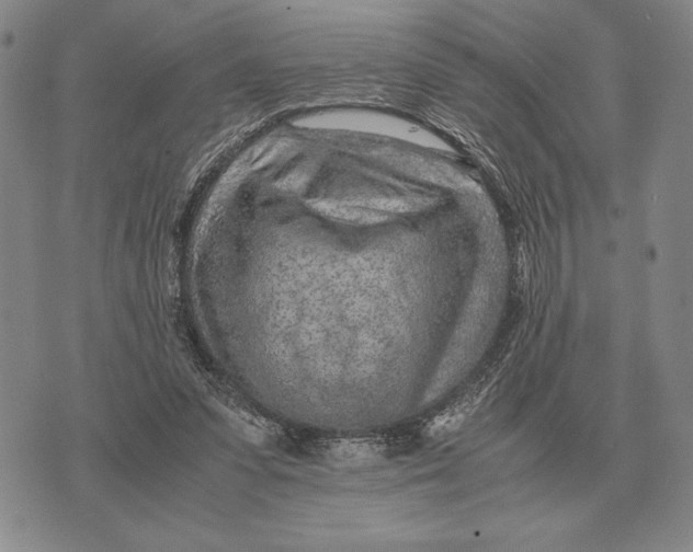 X0000071830303200607211808