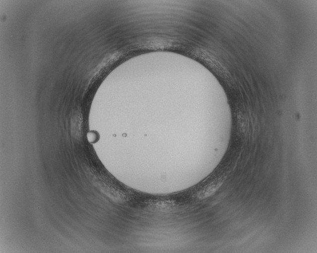 X0000071830304200607211808