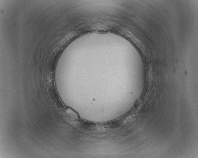 X0000071830305200607211808