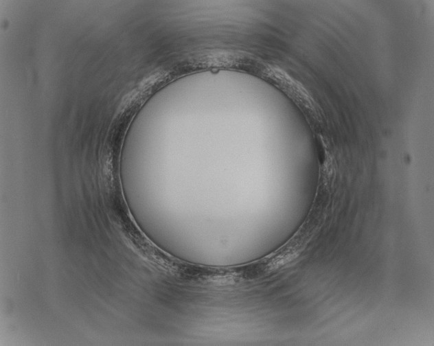 X0000071830306200607211808