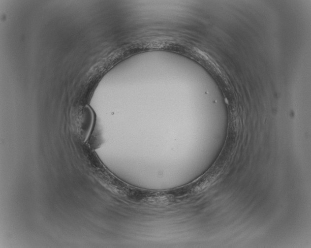 X0000071830307200607211808