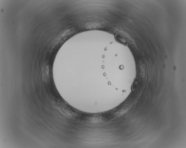 X0000071830308200607211808