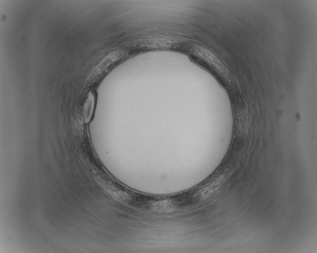 X0000071830309200607211808