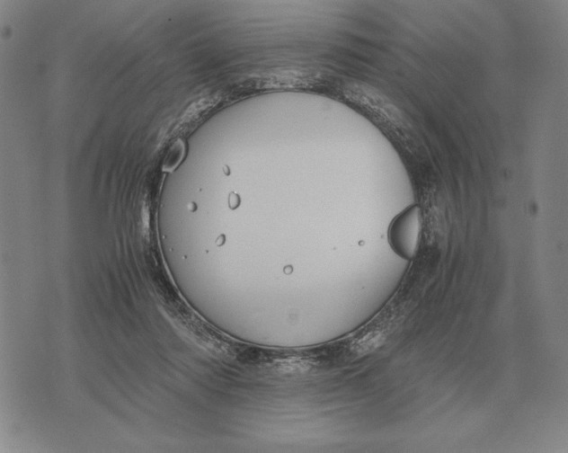 X0000071830310200607211808