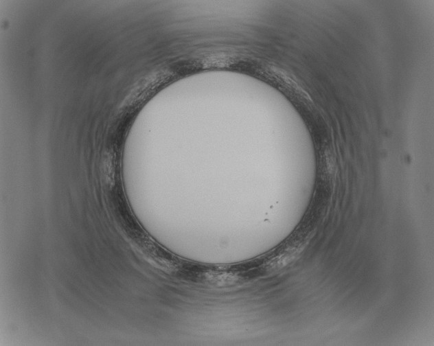 X0000071830311200607211808