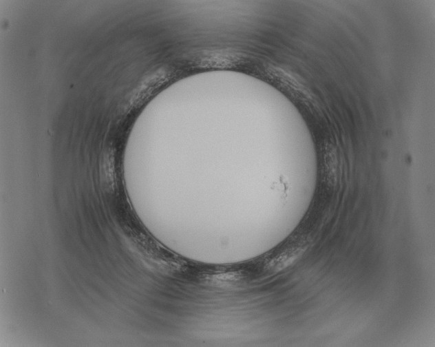 X0000071830312200607211808