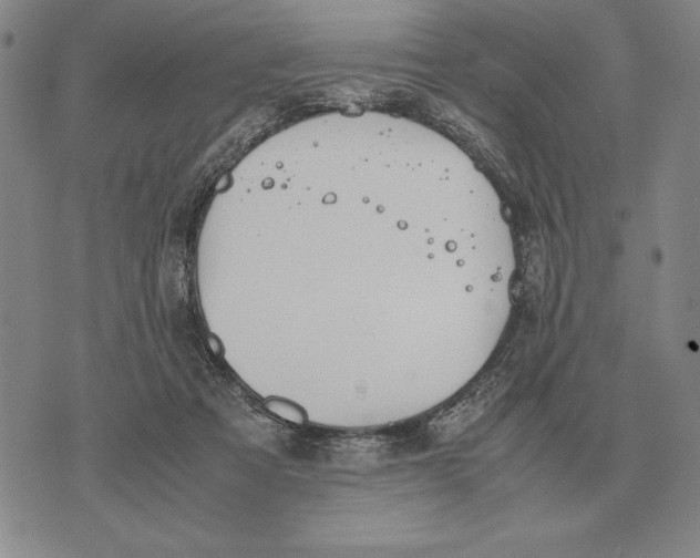 X0000071830313200607211808