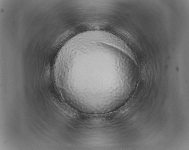 X0000071830314200607211808