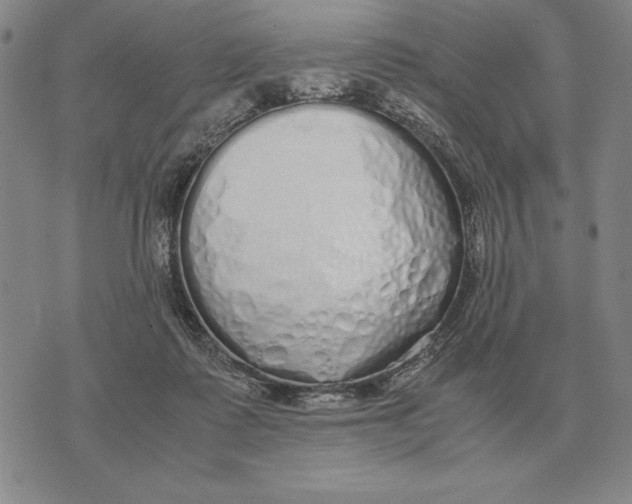 X0000071830315200607211808