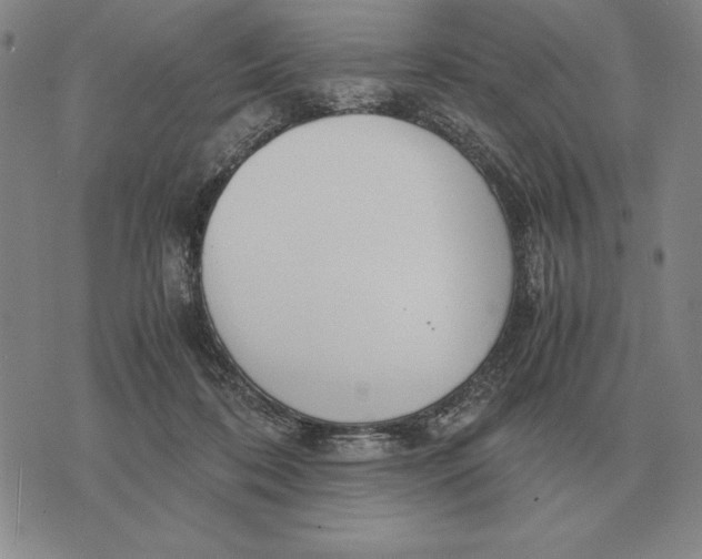 X0000071830316200607211808